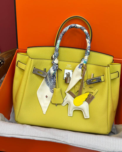 Birkin 30 Silver