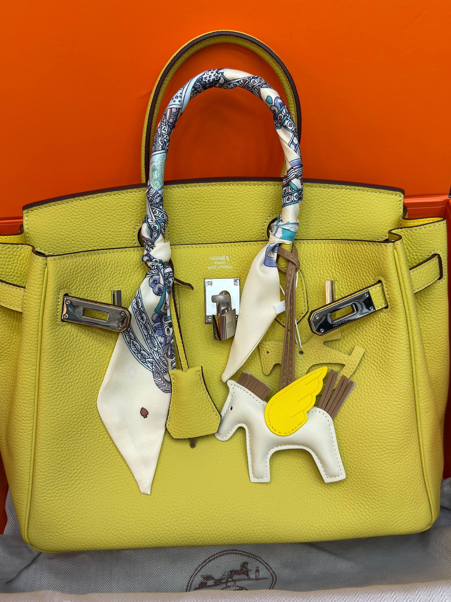 Birkin 30 Silver