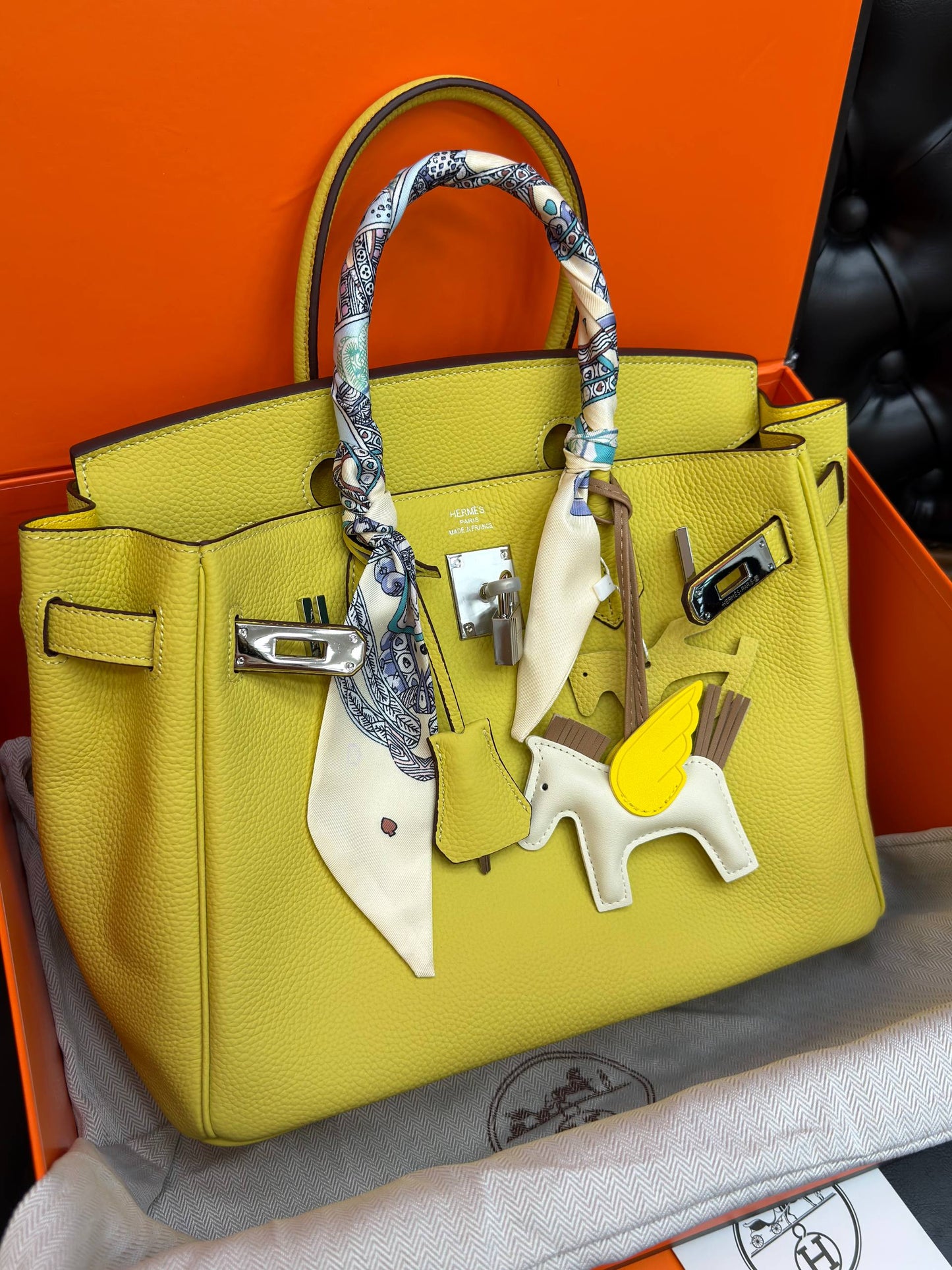 Birkin 30 Silver