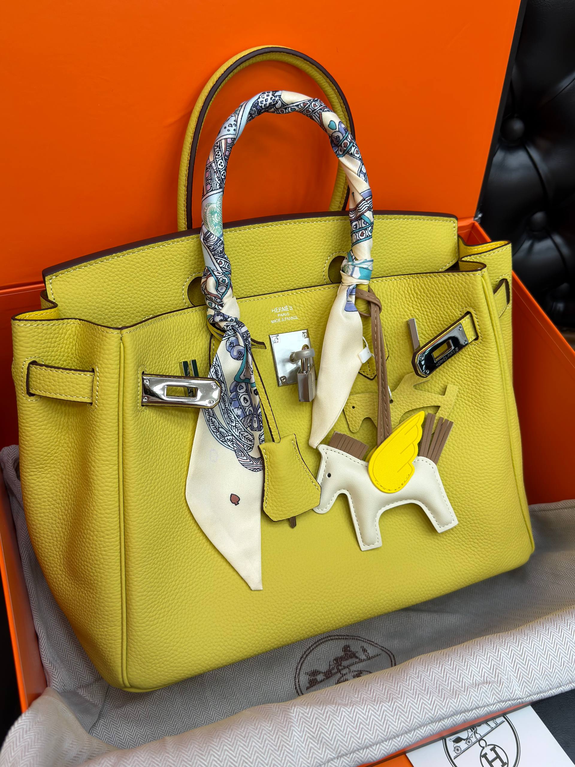 Birkin 30 Silver