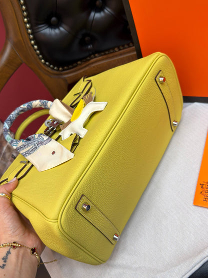 Birkin 30 Silver