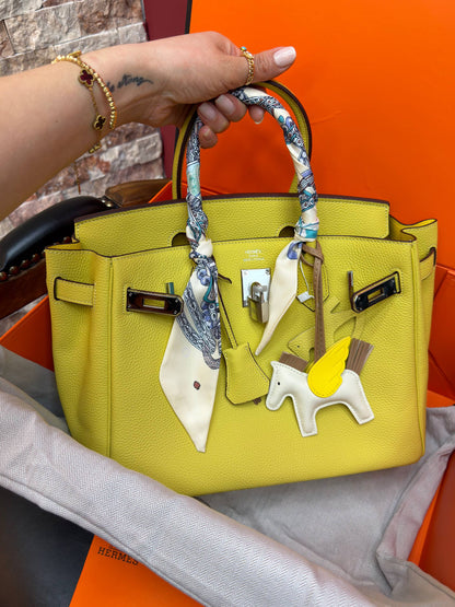 Birkin 30 Silver