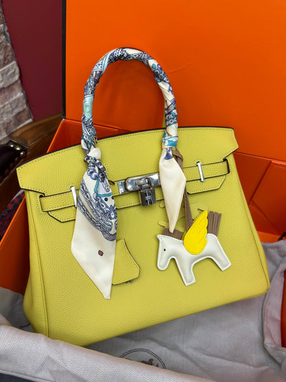 Birkin 30 Silver