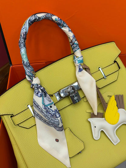 Birkin 30 Silver