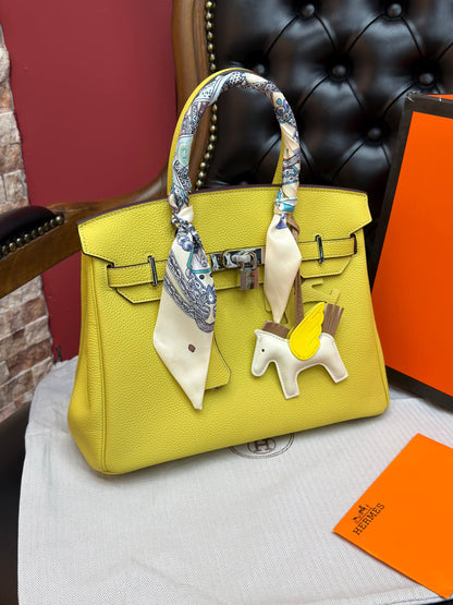 Birkin 30 Silver