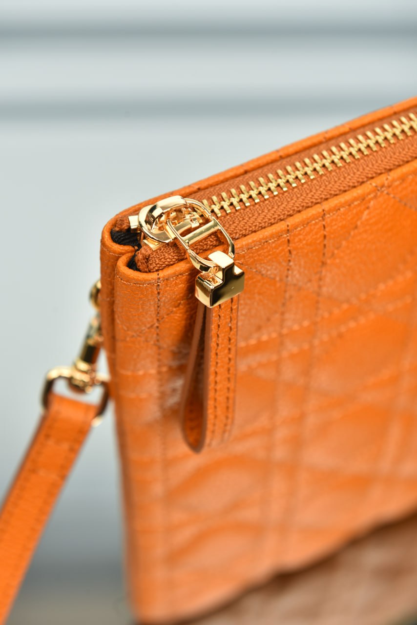 Large Dior Caro Daily Pouch