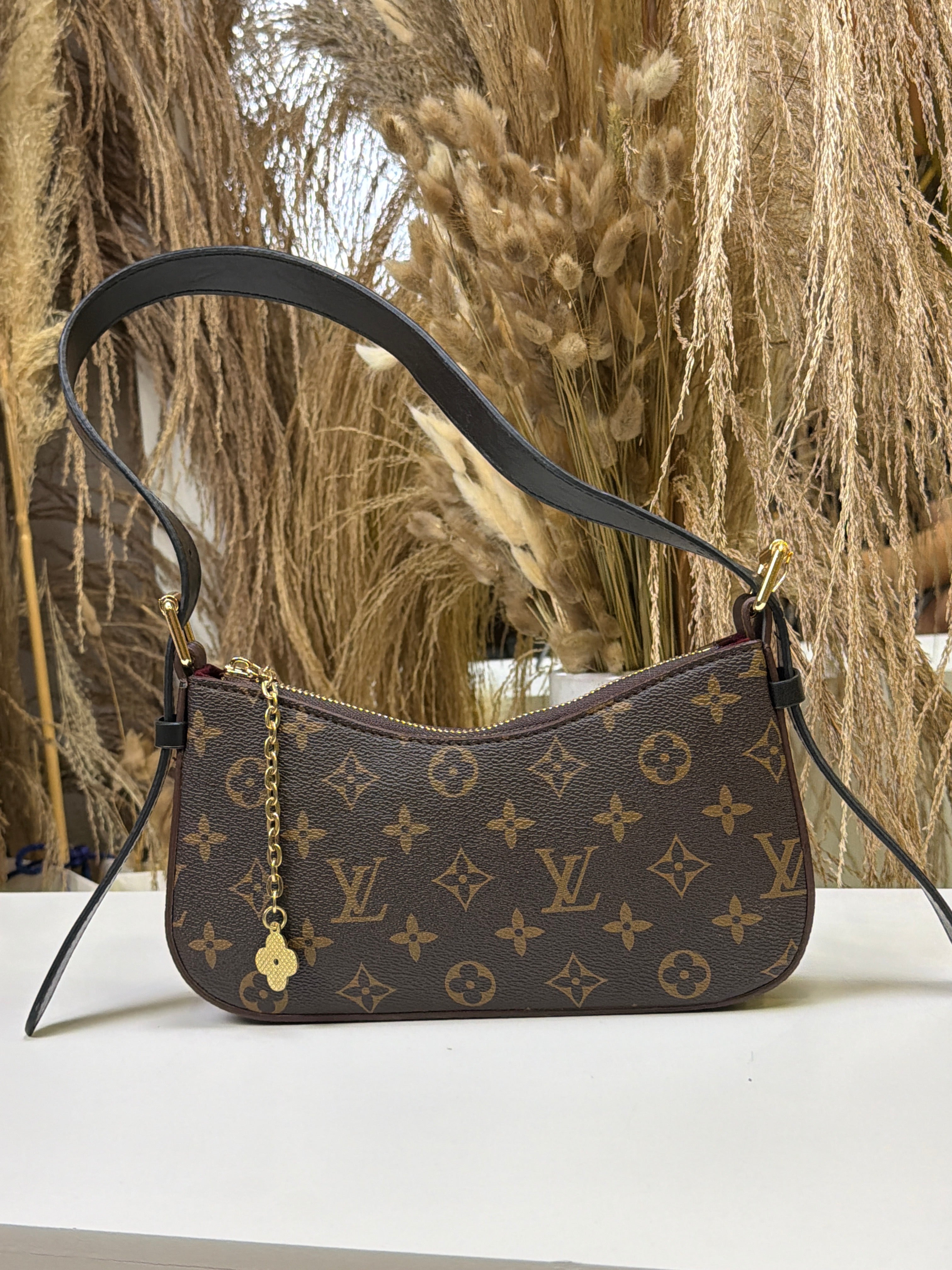 Pochette Accessoires  Monogram