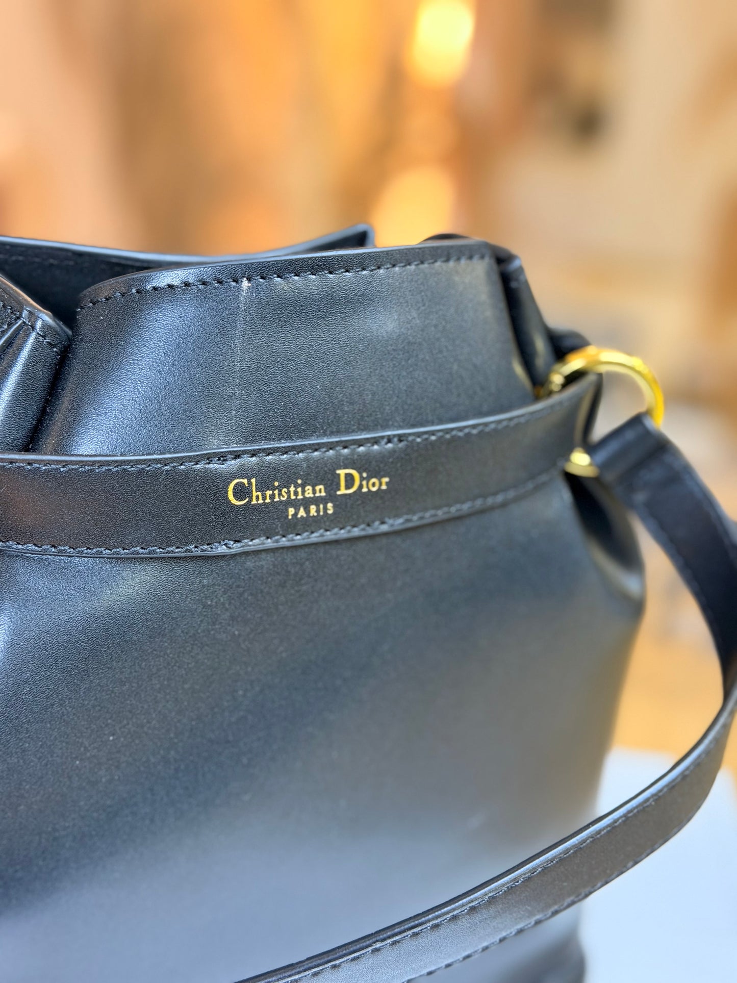 Medium C'est Dior Bag