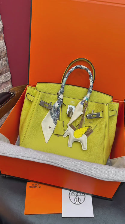 Birkin 30 Silver